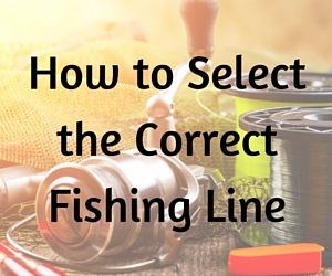 How to select the best fishing line