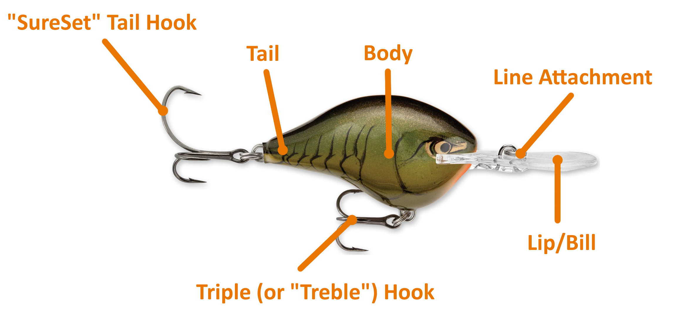 types of fishing baits