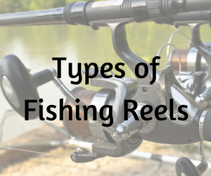 types-of-fishing-reels