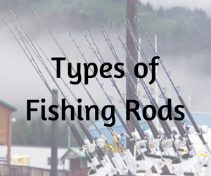 types-of-fishing-rods