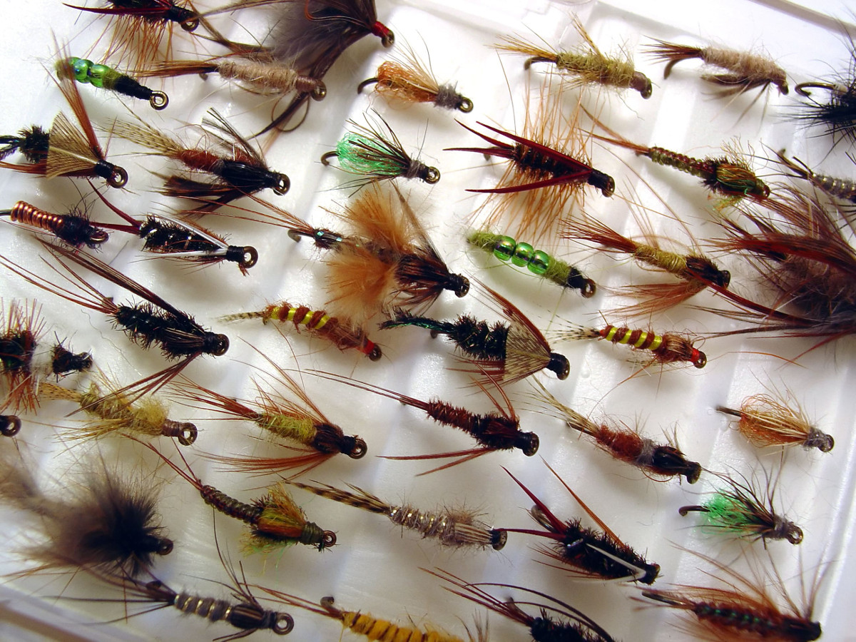 Different Type of Flies for Fly Fishing