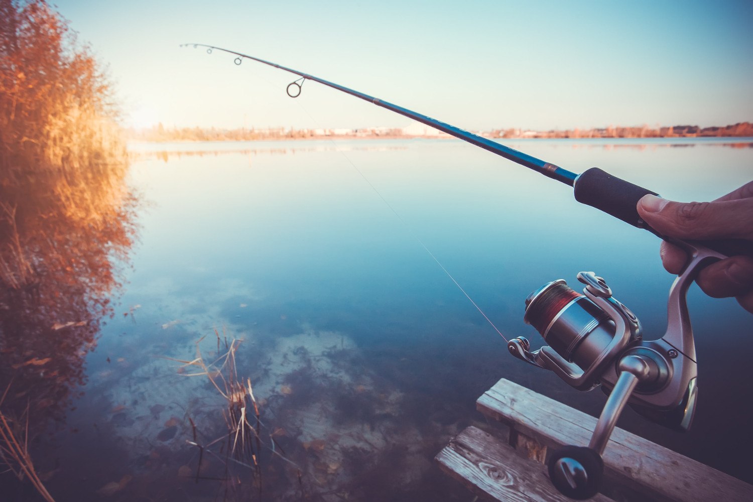 Best Spinning Rods Under $100 Review & Buyer’s Guide