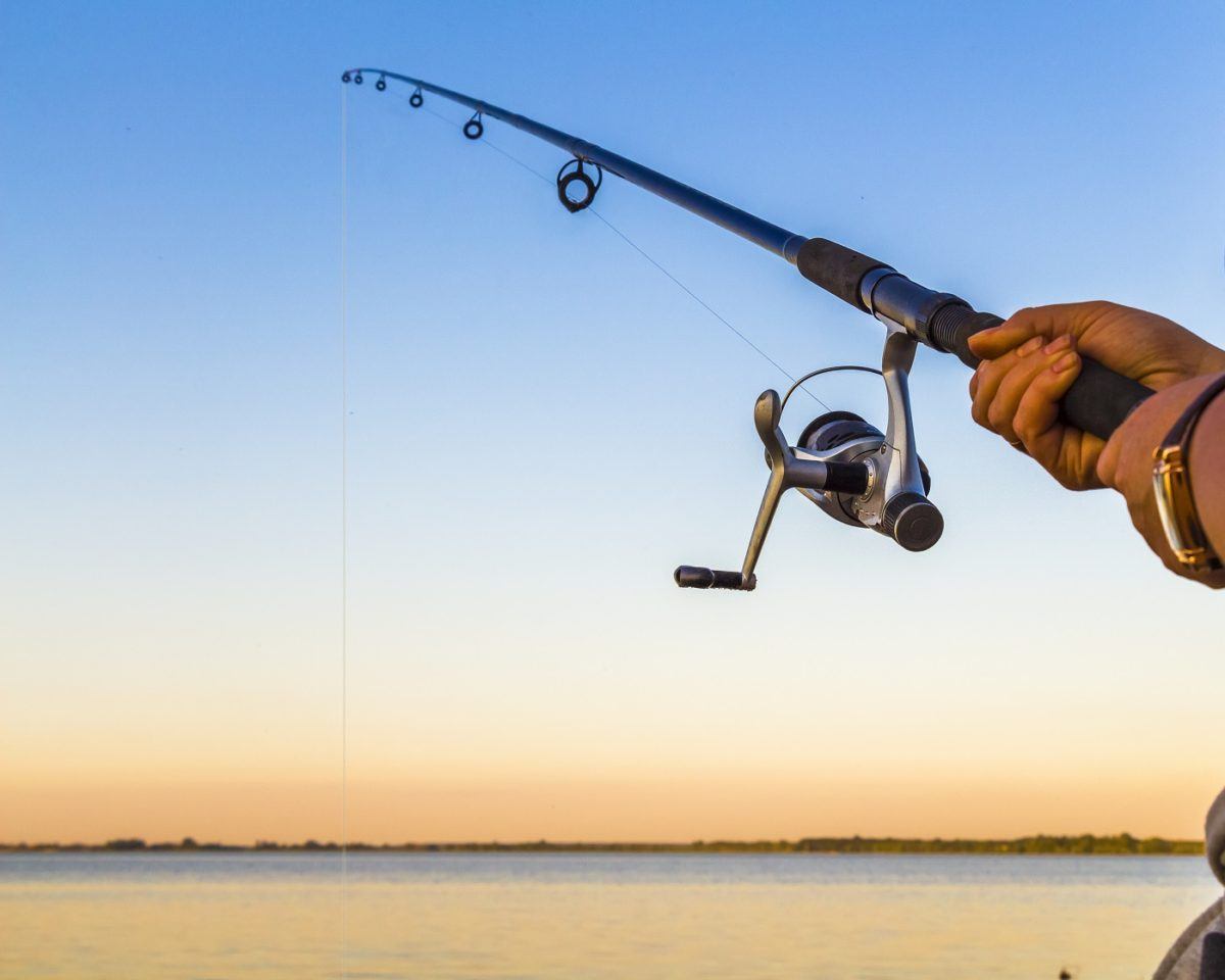COMPLETE GUIDE TO FISHING RODS